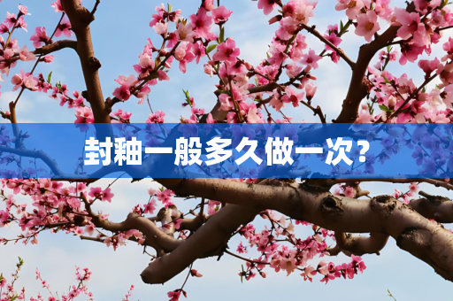 封釉一般多久做一次？