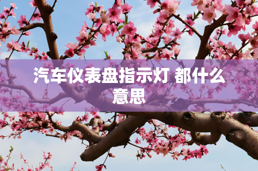 汽车仪表盘指示灯 都什么意思