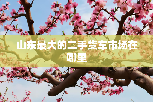 山东最大的二手货车市场在哪里