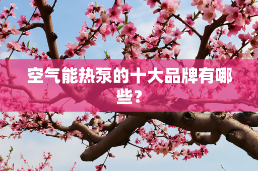空气能热泵的十大品牌有哪些？