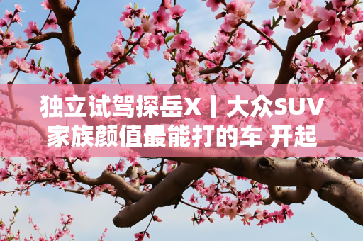 独立试驾探岳X丨大众SUV家族颜值最能打的车 开起来怎么样？