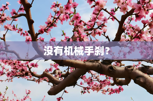 没有机械手刹？