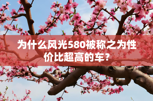 为什么风光580被称之为性价比超高的车？