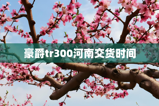 豪爵tr300河南交货时间