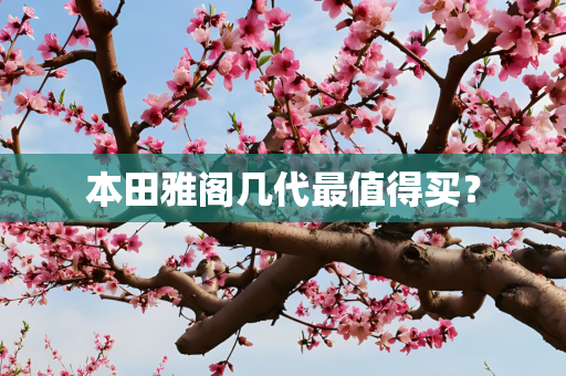 本田雅阁几代最值得买？