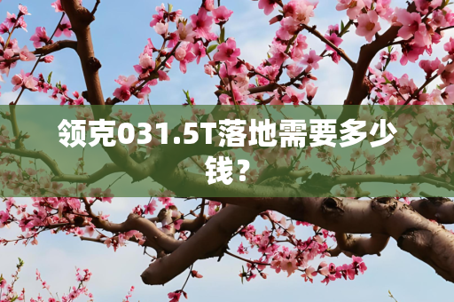 领克031.5T落地需要多少钱？
