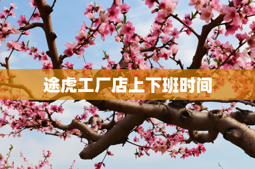 途虎工厂店上下班时间