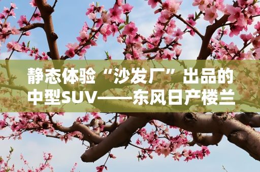 静态体验“沙发厂”出品的中型SUV——东风日产楼兰