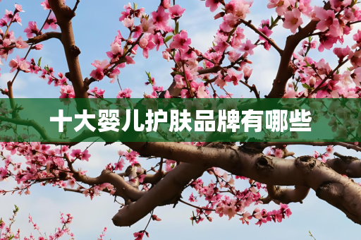 十大婴儿护肤品牌有哪些