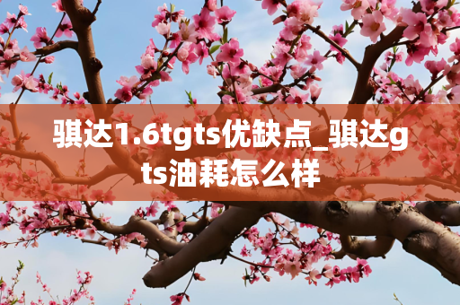 骐达1.6tgts优缺点_骐达gts油耗怎么样