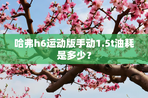 哈弗h6运动版手动1.5t油耗是多少？