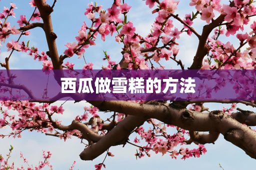 西瓜做雪糕的方法