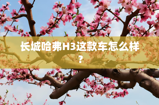 长城哈弗H3这款车怎么样？