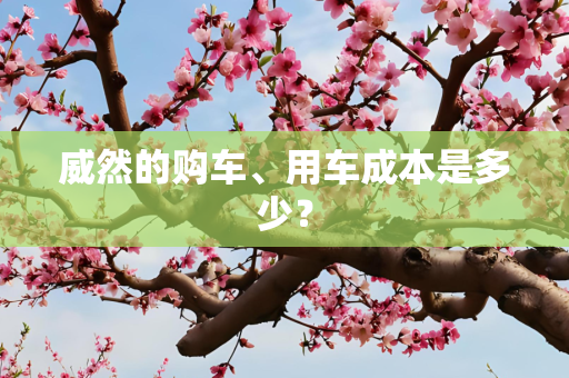 威然的购车、用车成本是多少？