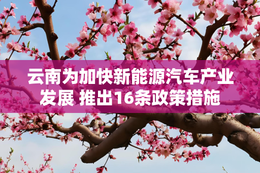 云南为加快新能源汽车产业发展 推出16条政策措施