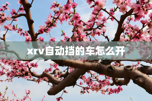 xrv自动挡的车怎么开