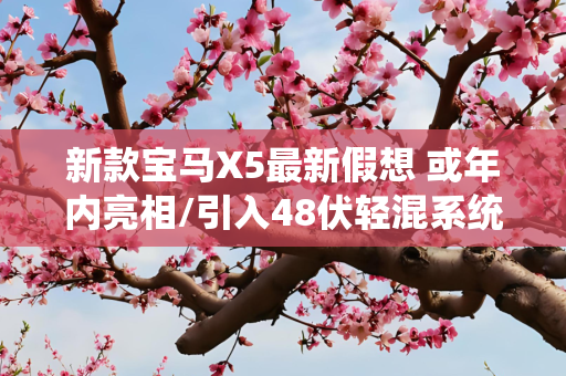 新款宝马X5最新假想 或年内亮相/引入48伏轻混系统