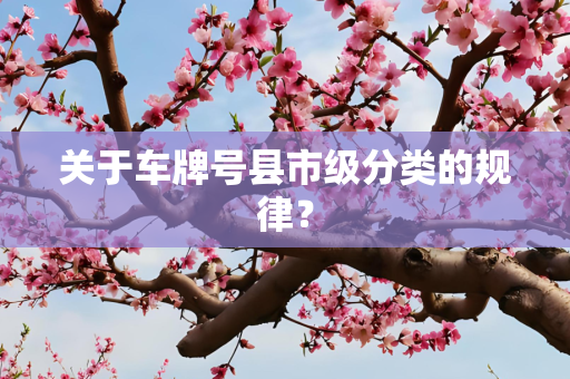 关于车牌号县市级分类的规律？