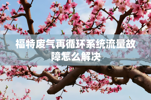 福特废气再循环系统流量故障怎么解决