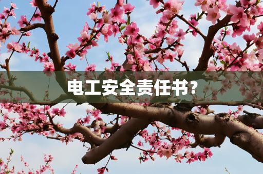 电工安全责任书？