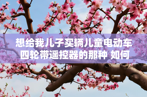 想给我儿子买辆儿童电动车 四轮带遥控器的那种 如何下手？