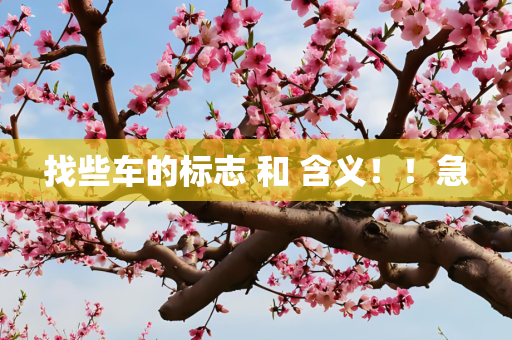 找些车的标志 和 含义！！急