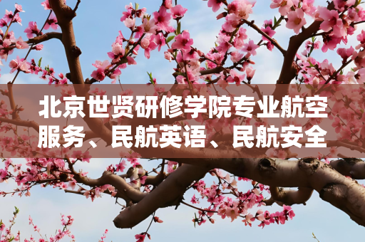 北京世贤研修学院专业航空服务、民航英语、民航安全技术管理、民航运输、城市轨道交通哪个专业好啊！
