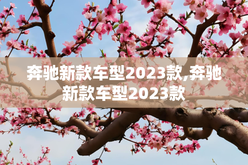 奔驰新款车型2023款,奔驰新款车型2023款