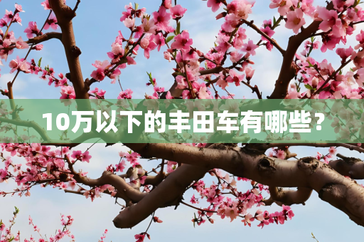 10万以下的丰田车有哪些？