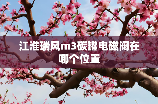 江淮瑞风m3碳罐电磁阀在哪个位置