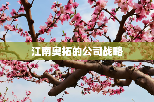 江南奥拓的公司战略