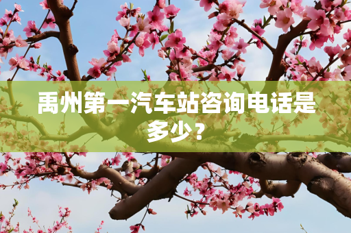 禹州第一汽车站咨询电话是多少？