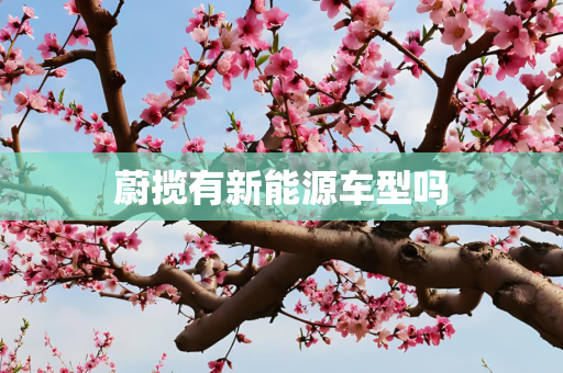 蔚揽有新能源车型吗