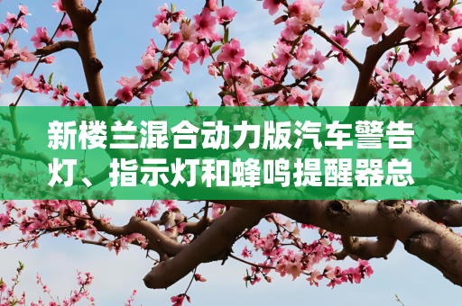 新楼兰混合动力版汽车警告灯、指示灯和蜂鸣提醒器总览
