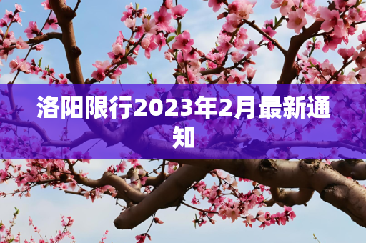 信息 第243页