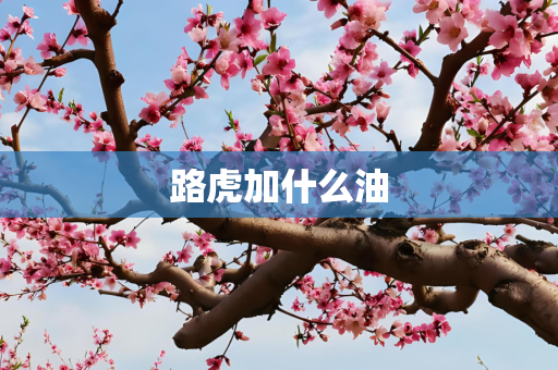路虎加什么油