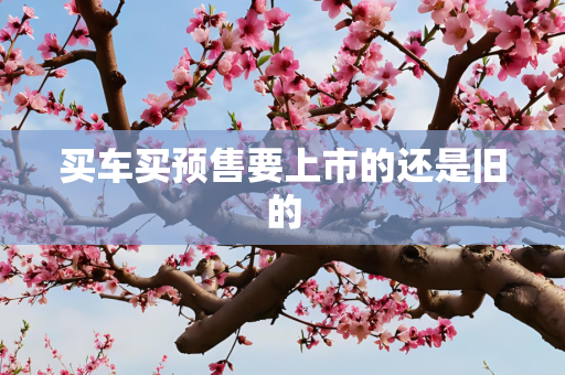 买车买预售要上市的还是旧的