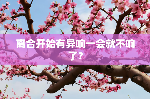 离合开始有异响一会就不响了？