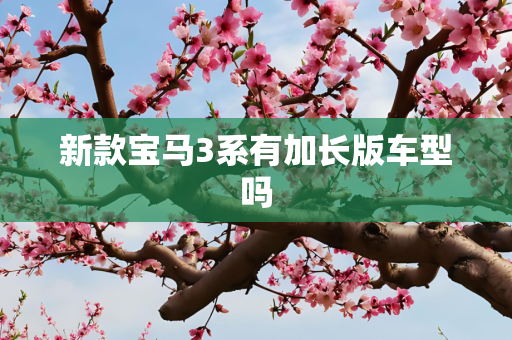 新款宝马3系有加长版车型吗