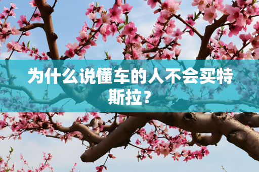 为什么说懂车的人不会买特斯拉？