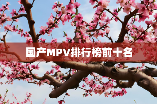 国产MPV排行榜前十名