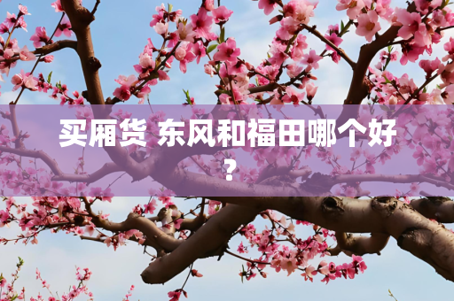 买厢货 东风和福田哪个好？