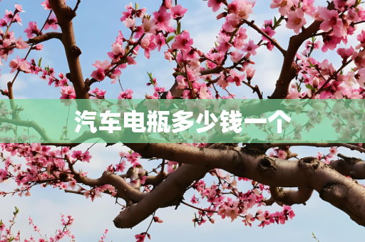 汽车电瓶多少钱一个