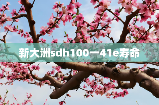 新大洲sdh100一41e寿命