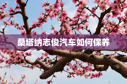 桑塔纳志俊汽车如何保养