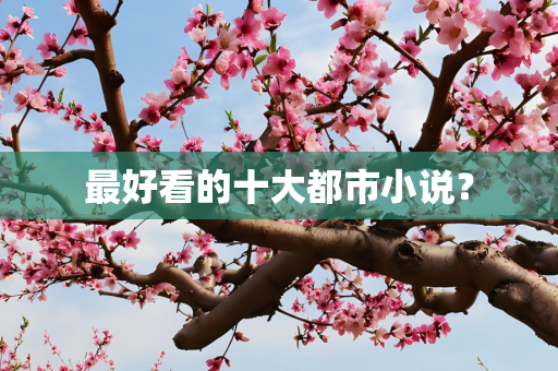 最好看的十大都市小说？