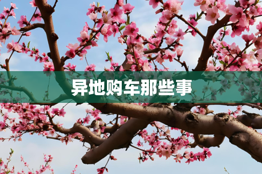 异地购车那些事
