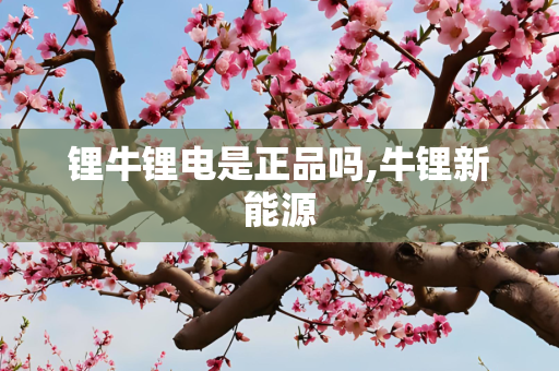 锂牛锂电是正品吗,牛锂新能源