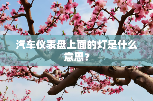 汽车仪表盘上面的灯是什么意思？