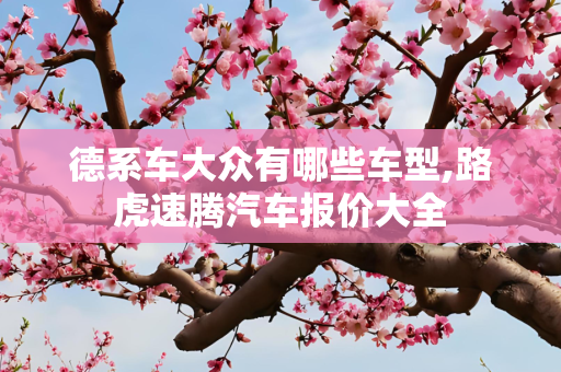 德系车大众有哪些车型,路虎速腾汽车报价大全
